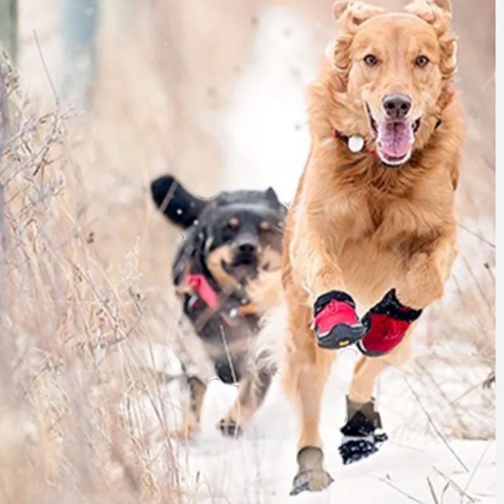 PET BOOTS   Size LARGE   " BEST BRAND"